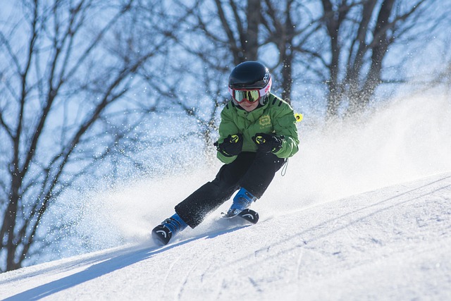 Le ski